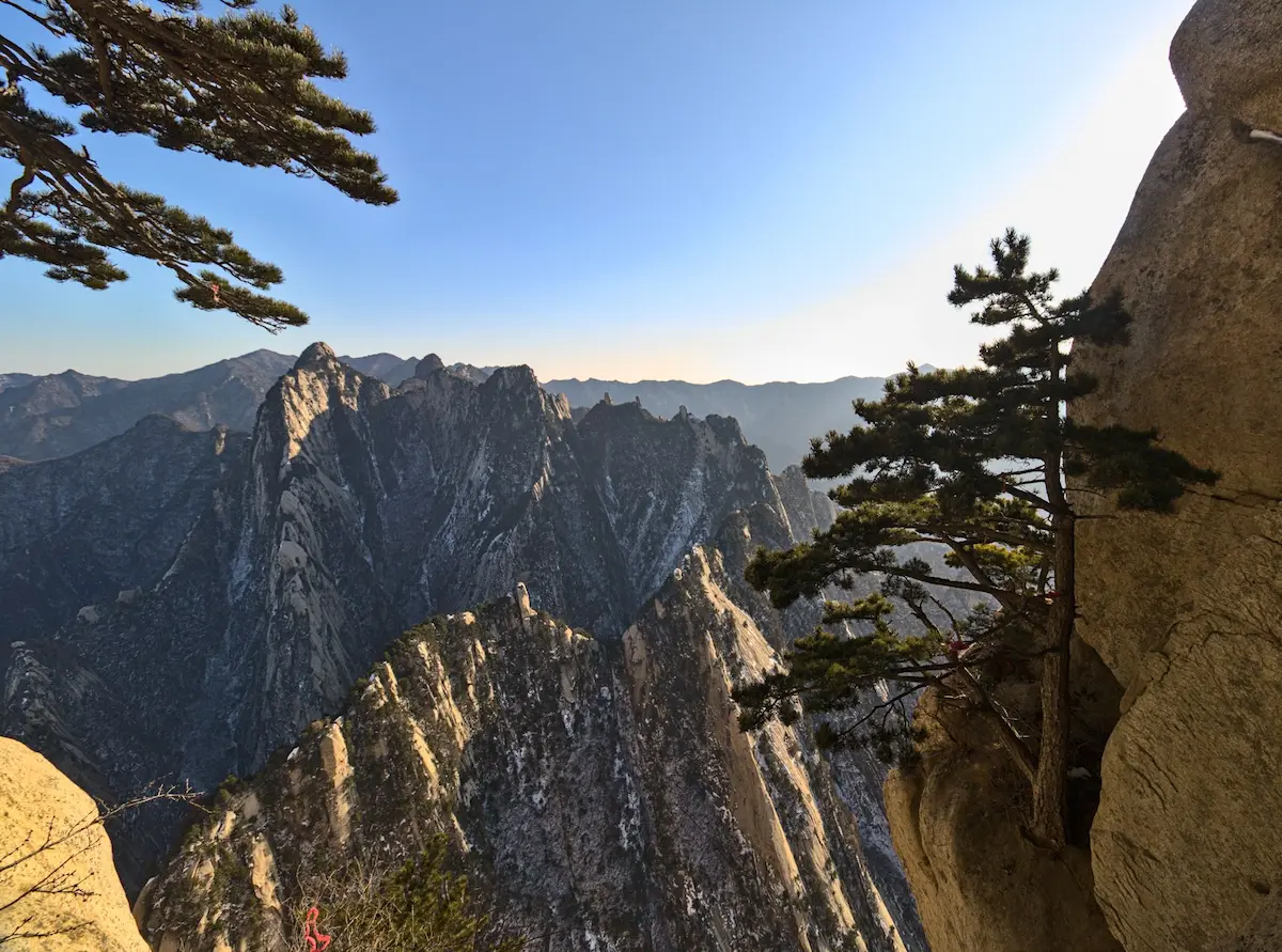 A very narrow mountain range is snaking its way across the image with a cliff in the foreground, on which a pine tree is growing. Another branch of a pine tree is hangin into the image from the top left.