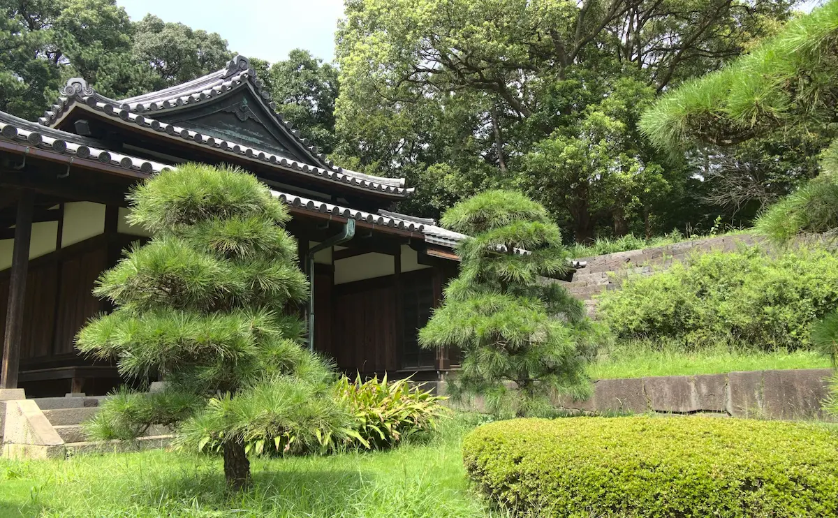 A building in traditional Japanese style is behind two beautifully cut pine trees. Mighty trees are towering over the garden in the background. Everything is surrounded by plants.