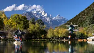 WebP Animated test image